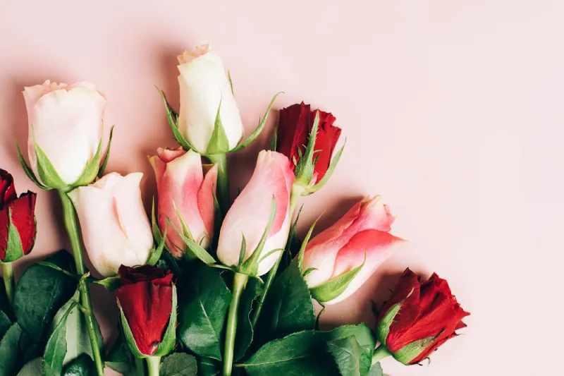 experiencia romantica