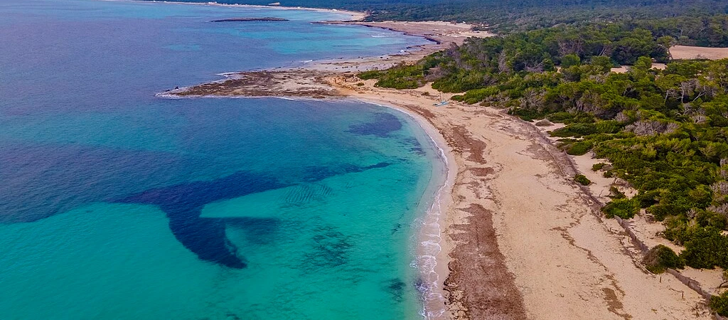 Imagen de Playa de Es Trenc - mallorca